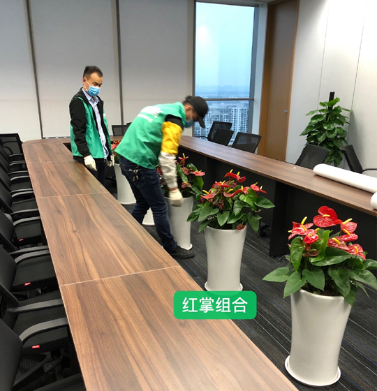 苏州绿植租摆会中大型会议室